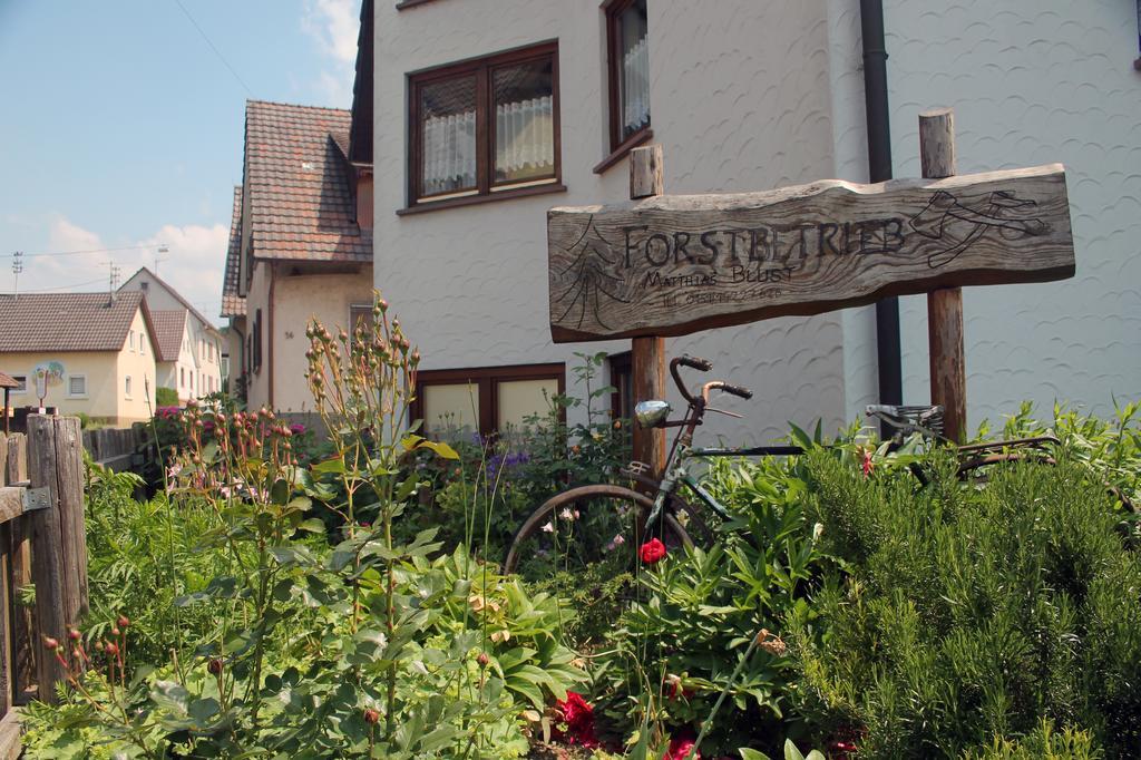 Haus Am Bergli Leilighet Herbolzheim Rom bilde