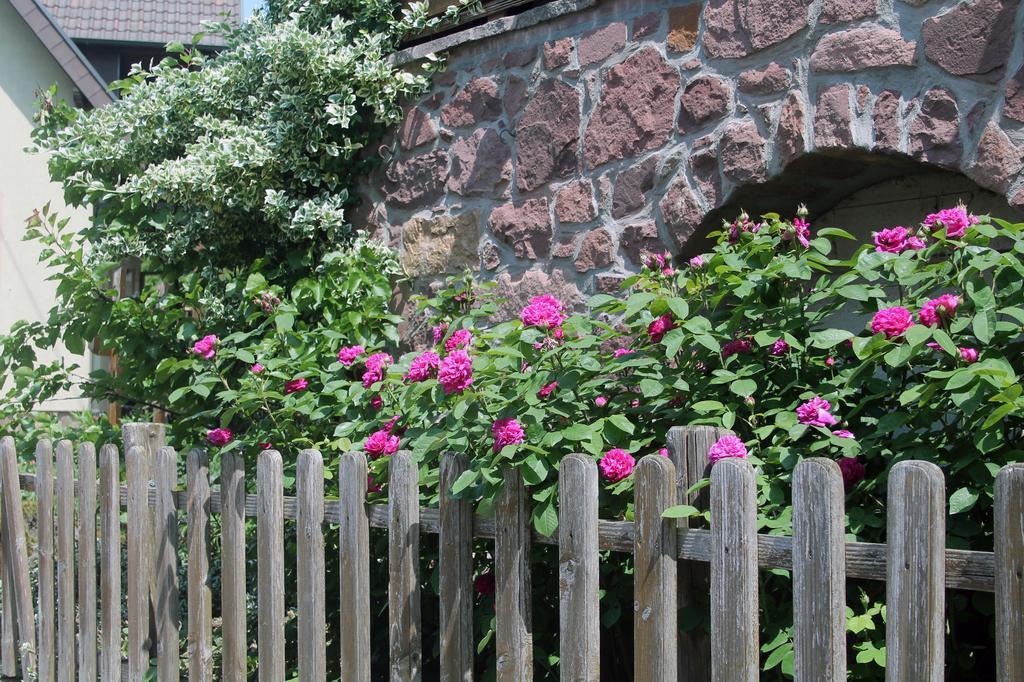 Haus Am Bergli Leilighet Herbolzheim Rom bilde