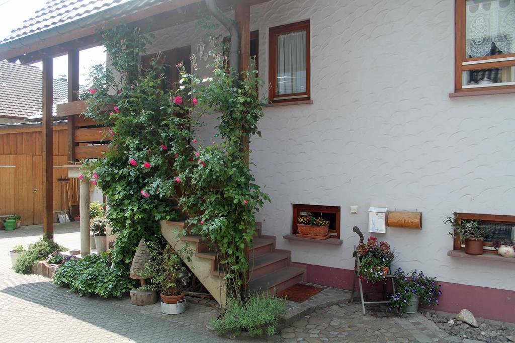 Haus Am Bergli Leilighet Herbolzheim Rom bilde