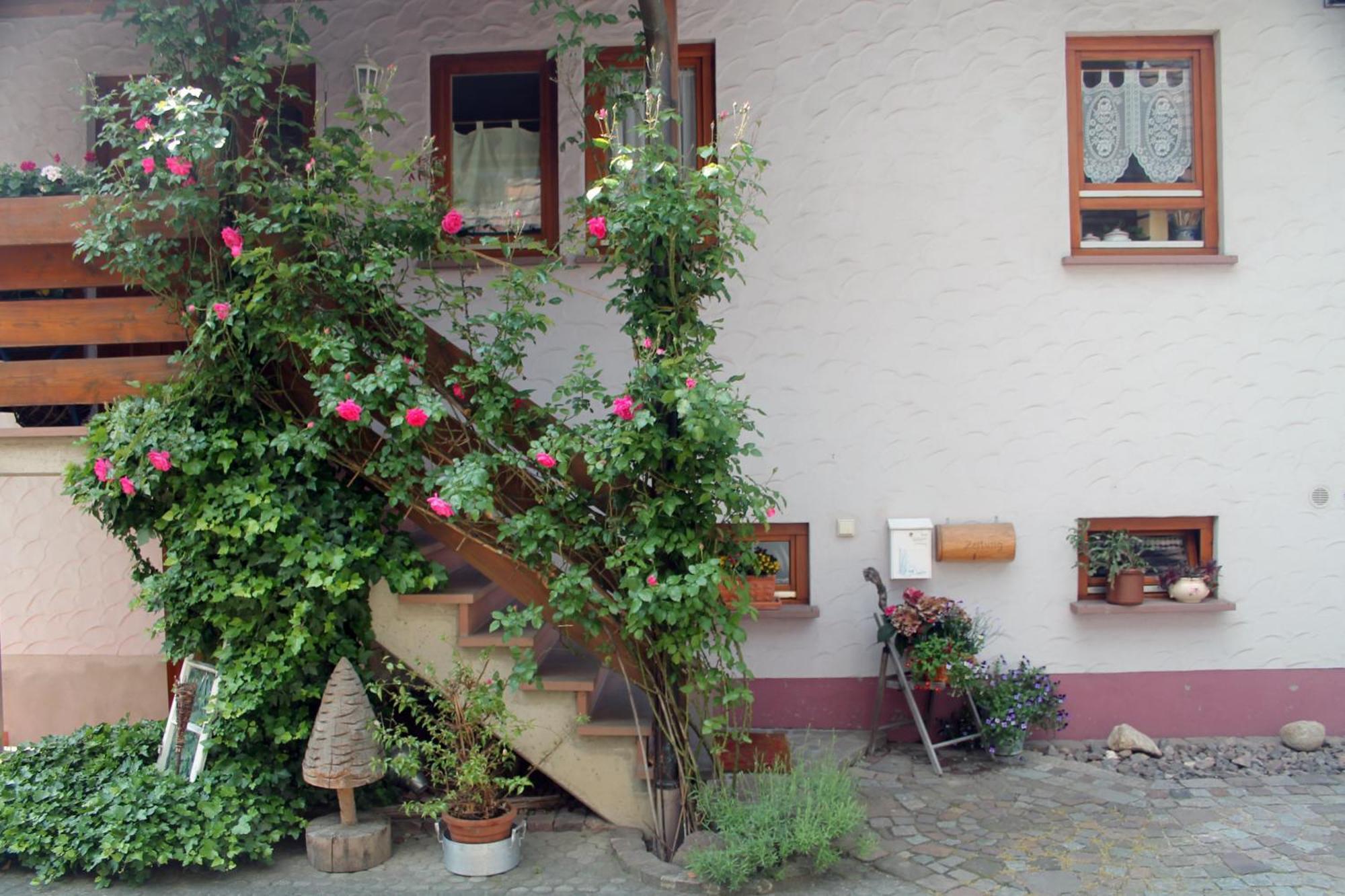 Haus Am Bergli Leilighet Herbolzheim Eksteriør bilde